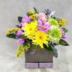 Colourful Box - Image 1