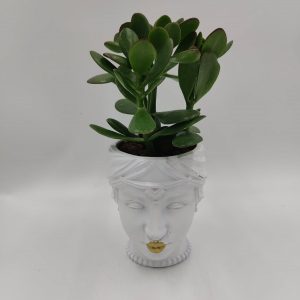 Kaiser - Κρασούλα - Image 1