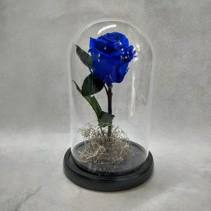 The Beauty and The Beast - Medium - Image 2