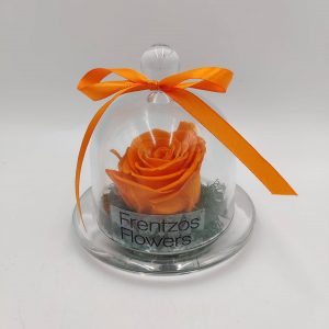 The Baby - Cake Plate - Image 4