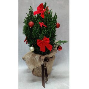 Κυπαρίσσι Ελγούντι - Christmas Mood (LED) - Image 1