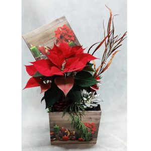 The Xmas Box - Image 1