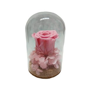 Forever Rose - Mini Me - Image 1