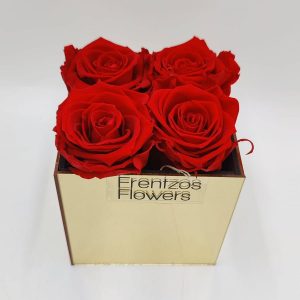 Forever in Plexiglass - Κόκκινο - Image 1