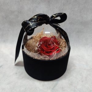 The Baby - Velvet - Black - Image 1