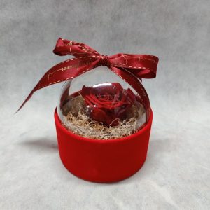 The Baby - Velvet - Red - Image 1