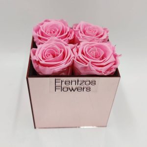 Forever in Plexiglass - Ροζ - Image 1