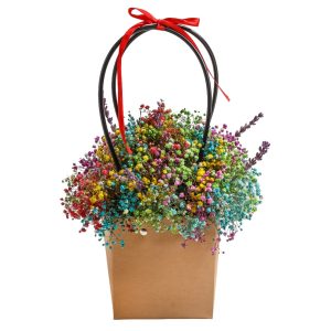Rainbow Baby's Breath Basket - Image 1