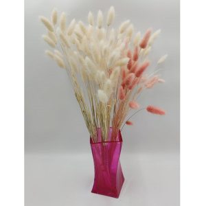 Λάγκουρους - Image 1