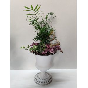 Exclusive Σύνθεση με Πόλκα και Χαμαιδωρέα - Image 1