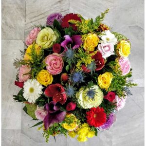 Rainbow Eyes - Image 1