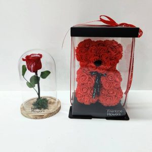 Rose Bear Medium + Beauty & The Beast Medium - Image 1