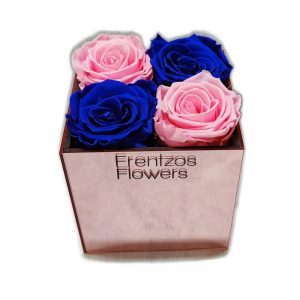 Forever in Plexiglass - Ροζ & Μπλε Ρουά - Image 1