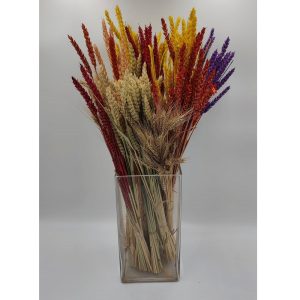 Στάχυα - 3 Μάτσα - Image 1