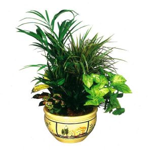 Σύνθεση σε Φαγιάνς Βάση - Image 1