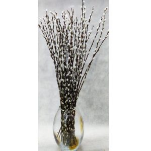 Βέργες Βαμβάκι - Μάτσα - Image 1