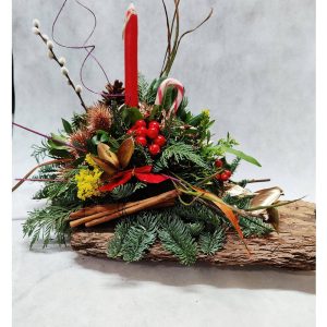 Φλούδα Κορμού Δέντρου - Large - Image 1