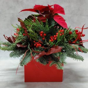 Το Κόκκινο Κουτί - Centerpiece - Image 1